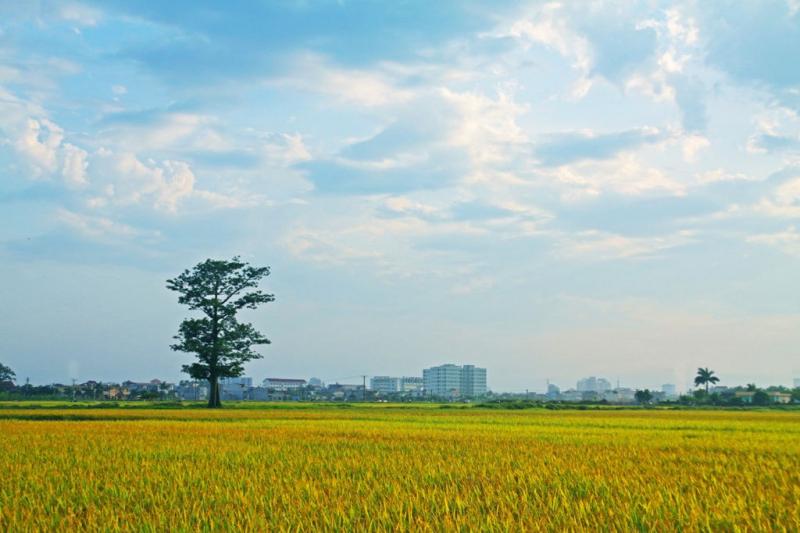 Trả tôi về