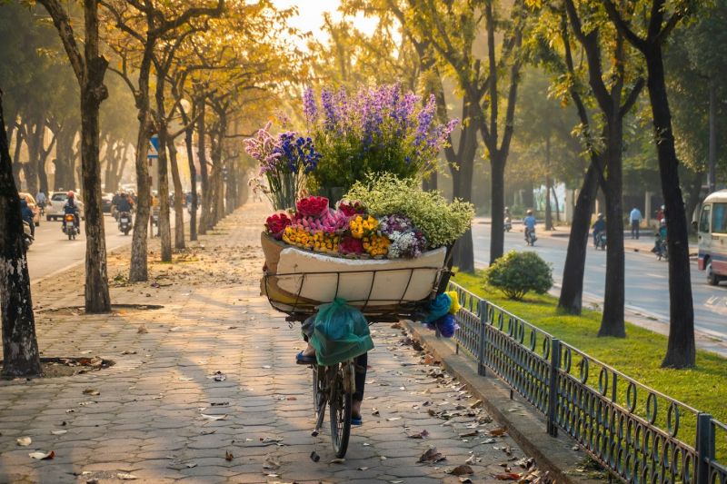 Nắng mùa thu trong vắt, đẹp mơ màng