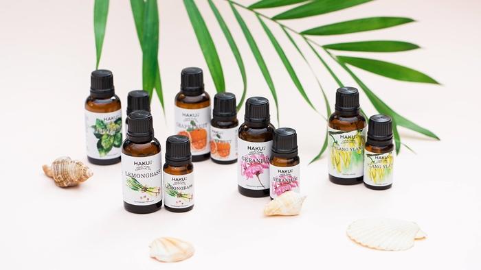 Xông tinh dầu vừa ngăn ngừa nấm mốc, muỗi, côn trùng vừa có tác dụng phòng bệnh