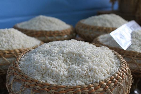 Những hạt nếp cái hoa vàng to tròn