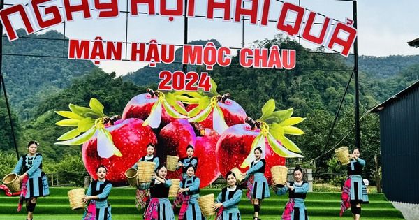 Ngày hội hái quả truyền thống tại Mộc Châu