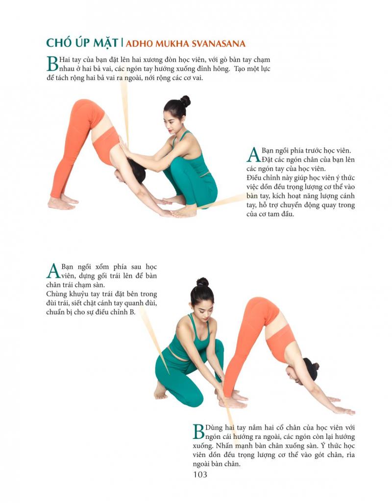 Nghệ thuật căn chỉnh tư thế yoga