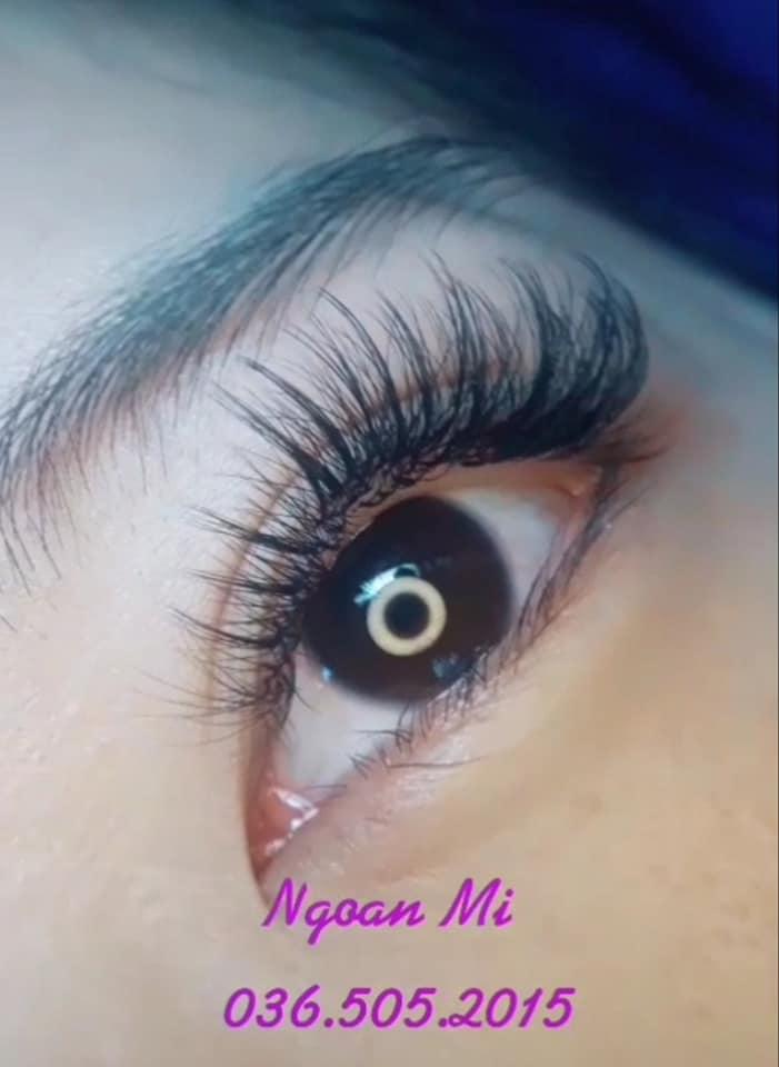 Ngoan Nguyễn- NốiMi