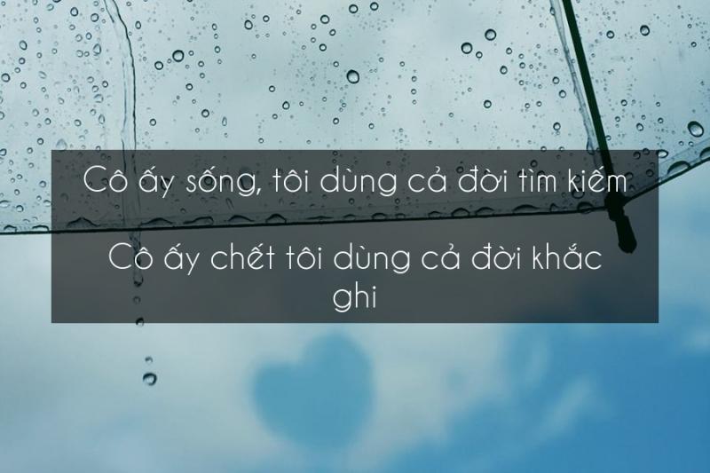 Quotes câu nói trong truyện Archimedes thân yêu