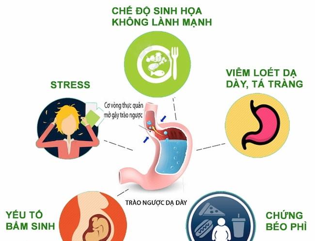 Nguyên nhân gây trào ngược dạ dày