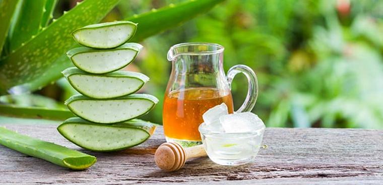 Nha đam mật ong