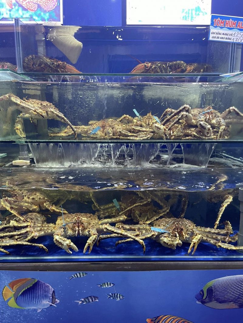 Hải sản Biển Đông