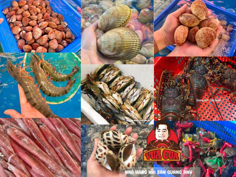 Nhà Hàng Quang Anh - Vua cua Ô Loan Phú Yên