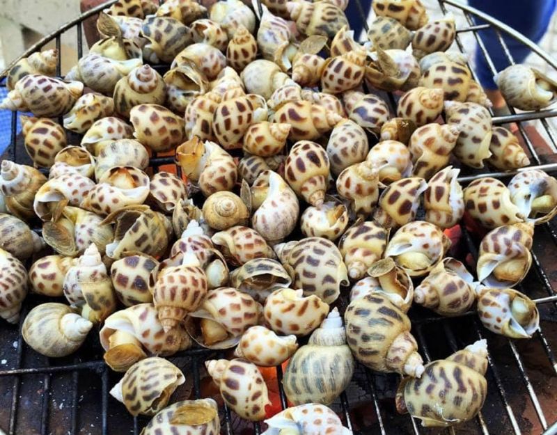 Nhà Hàng Vạn Chài