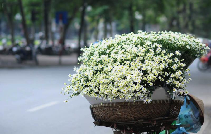 Có một Hà Nội xao xuyến mỗi độ đông về...