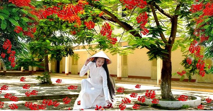 Nhớ trường xưa