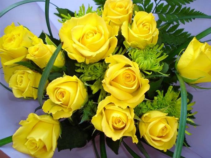 Những Bông Hồng Vàng Tặng Em