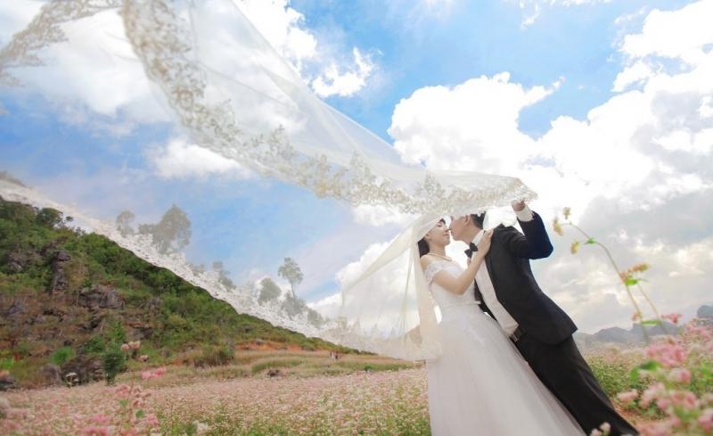 Những vườn hoa Tam Giác Mạch