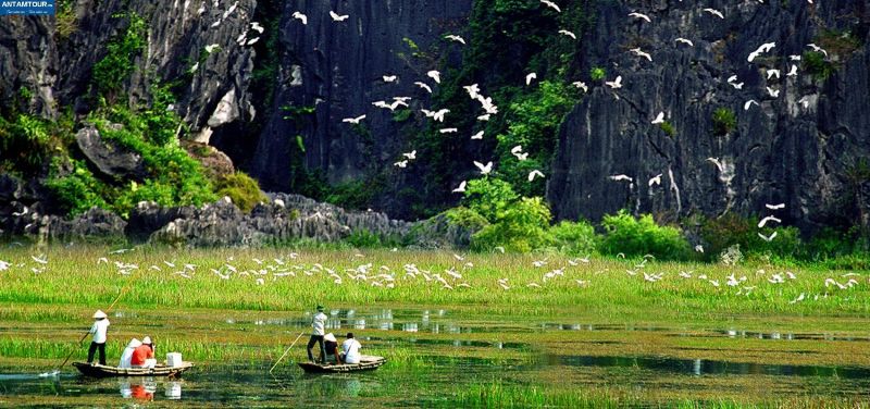 Ninh Bình em đợi