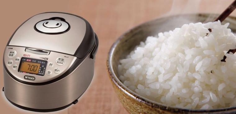 Cơm nguội vào mùa hè rất dễ bị ôi thiu chúng ta cần có cách bảo quản đúng cách