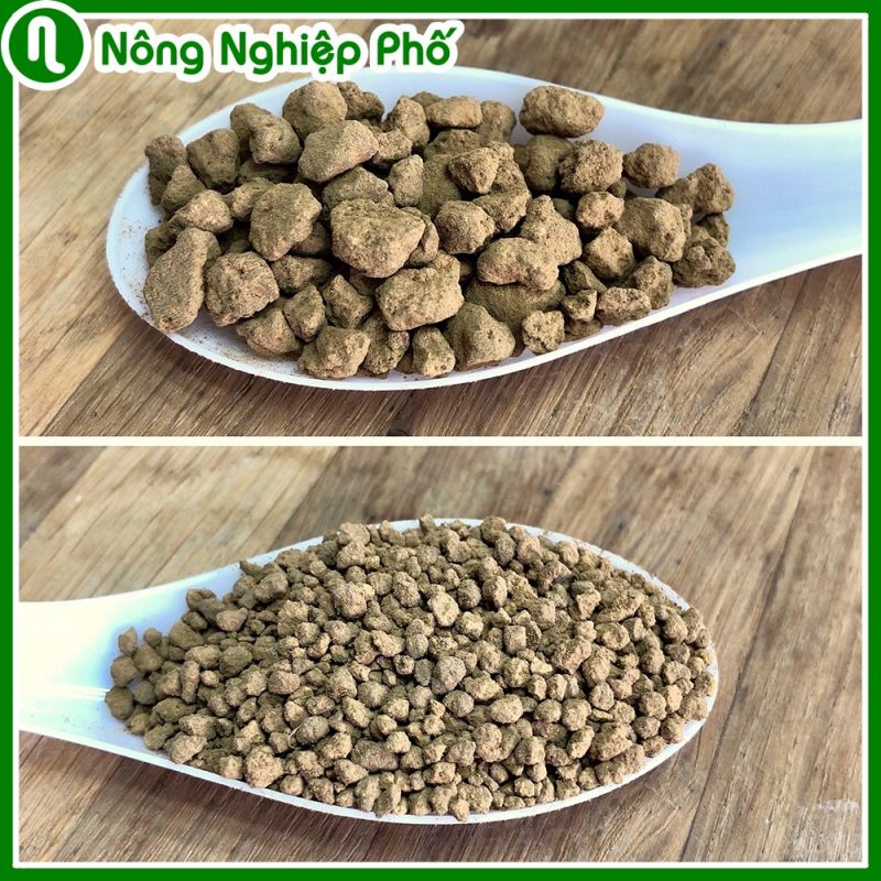 Nông Nghiệp Phố