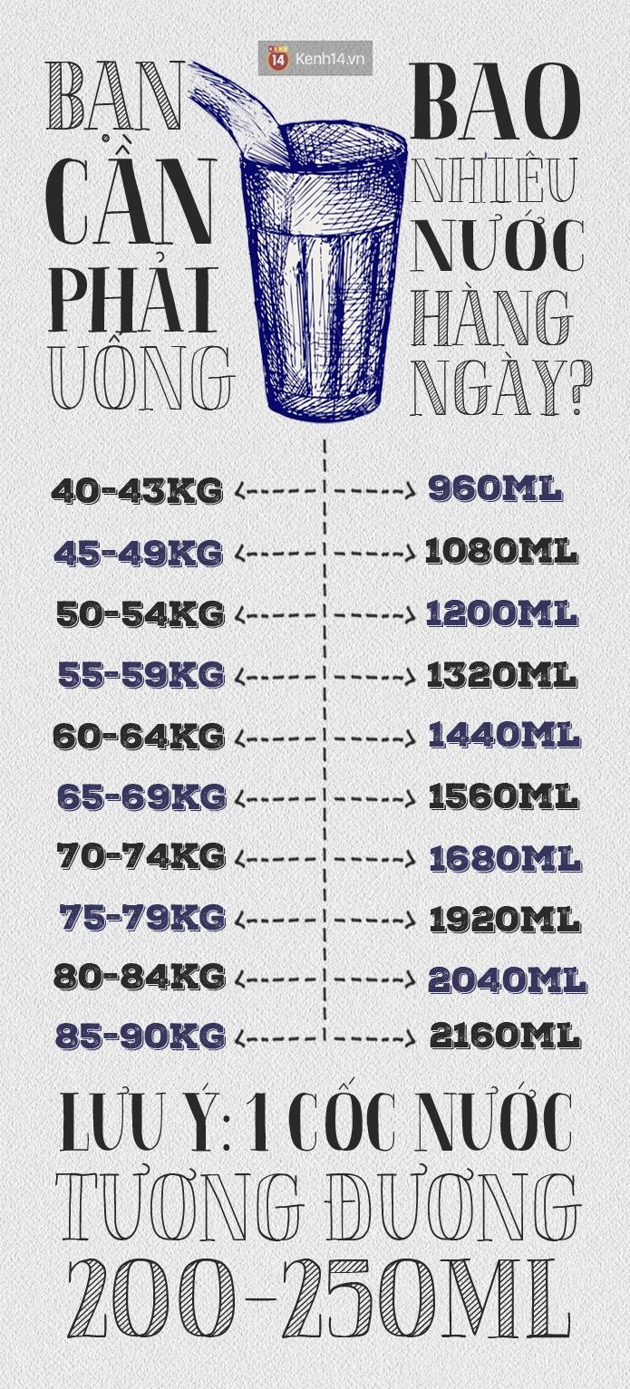 Lượng nước mà cơ thể bạn cần mỗi ngày.