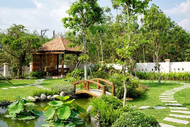 PSA – Công ty cây xanh Hà Nội uy tín có giá rẻ
