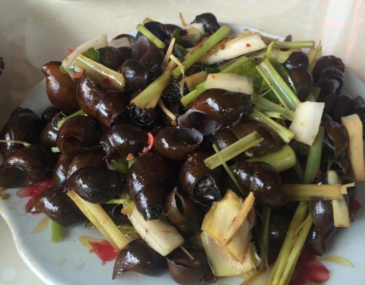 Ốc hẻm cây xoài