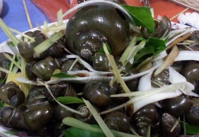 Ốc Minhon