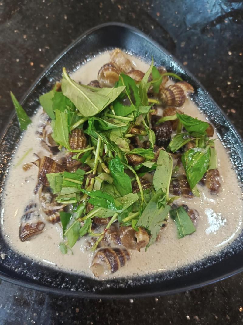 Ốc Út Như