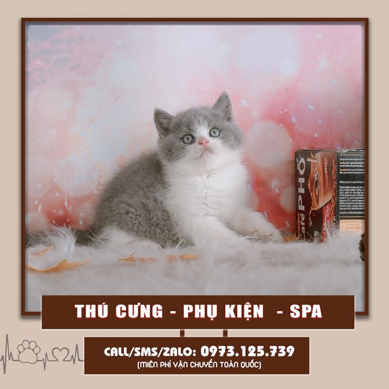 OPET - Cửa hàng thú cưng