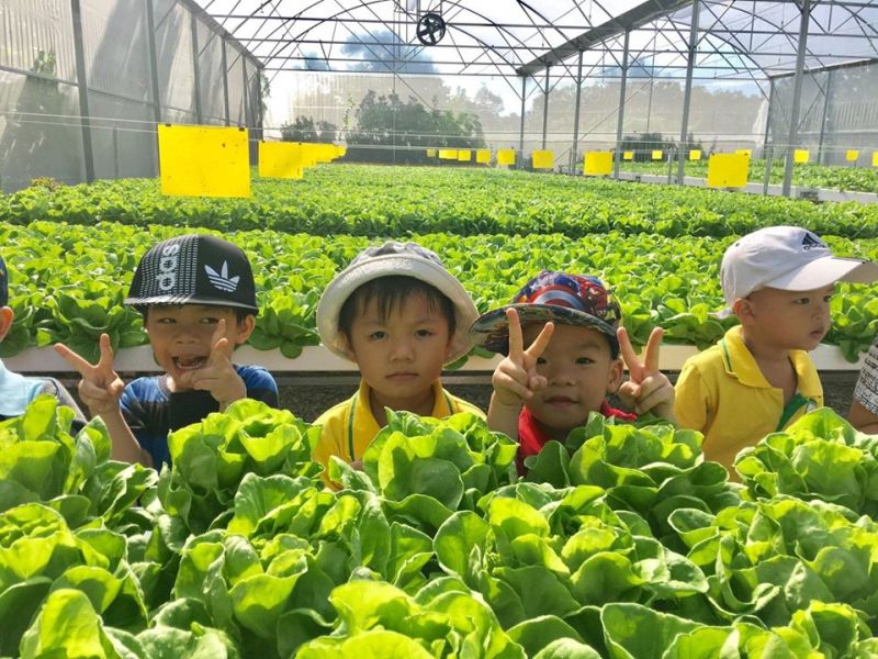 PAX Farm