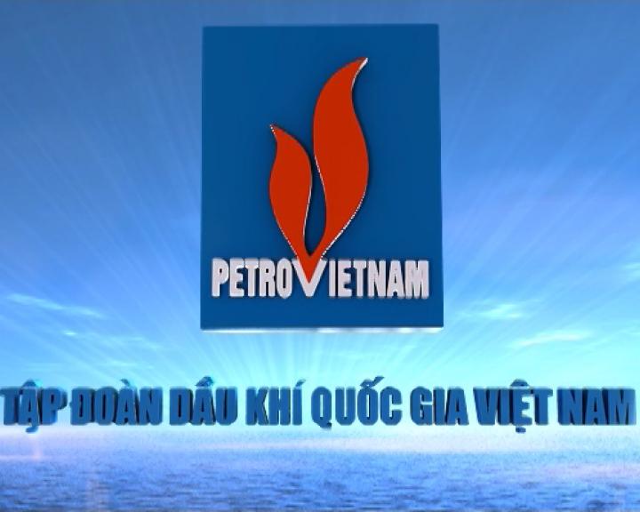 Petrovietnam