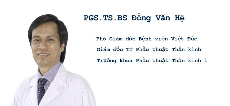 Phó giáo sư, Tiến sĩ Đồng Văn Hệ