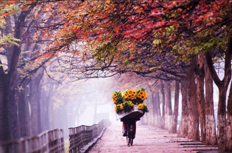 Phố Kim Mã