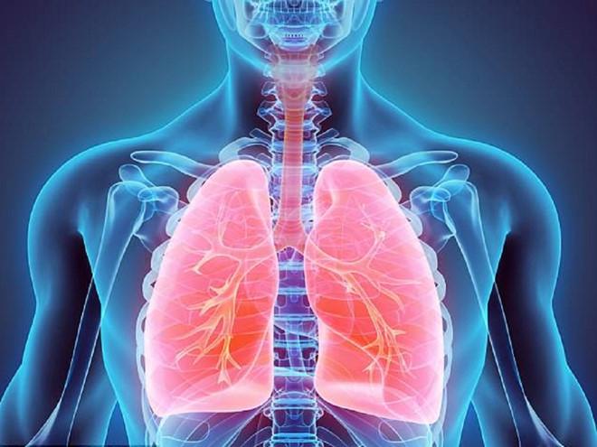Phổi của người hút thuốc