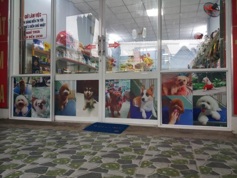 Phòng khám thú y BS. Đang