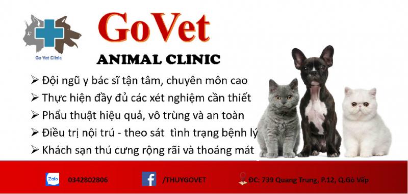 Phòng Khám Thú Y Go Vet