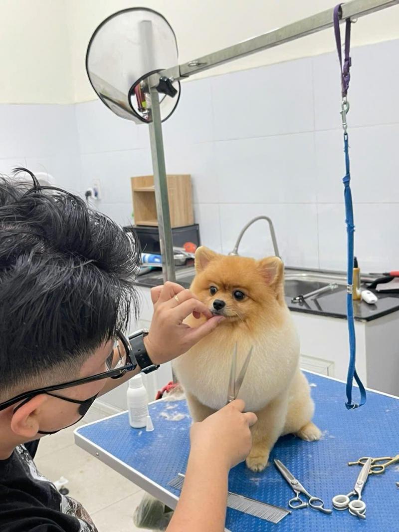 Phòng Khám Thú Y K9