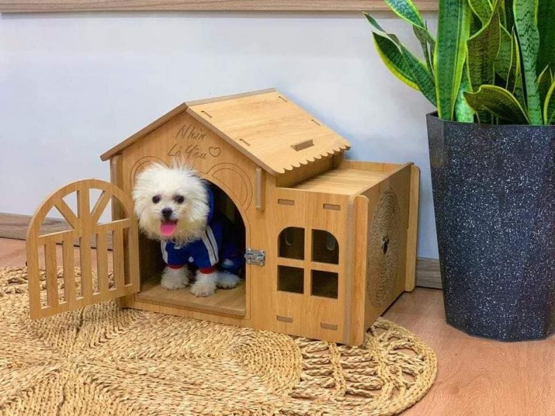 Phòng Khám Thú Y Love Pets