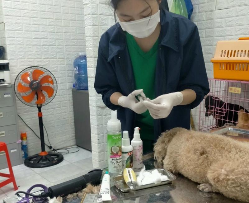 Phòng Khám Thú Y Pet Care Bến Tre
