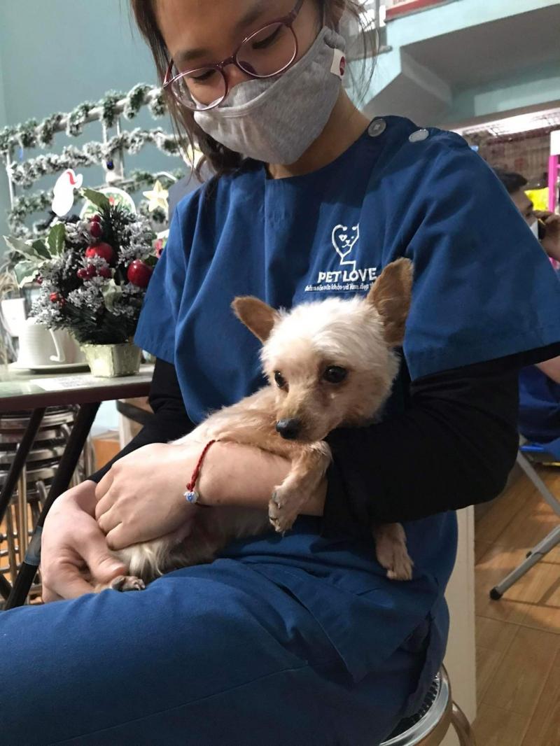 Phòng Khám Thú Y Pet Love