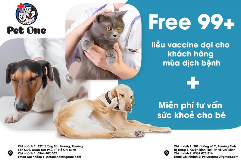 Phòng Khám Thú Y Pet One