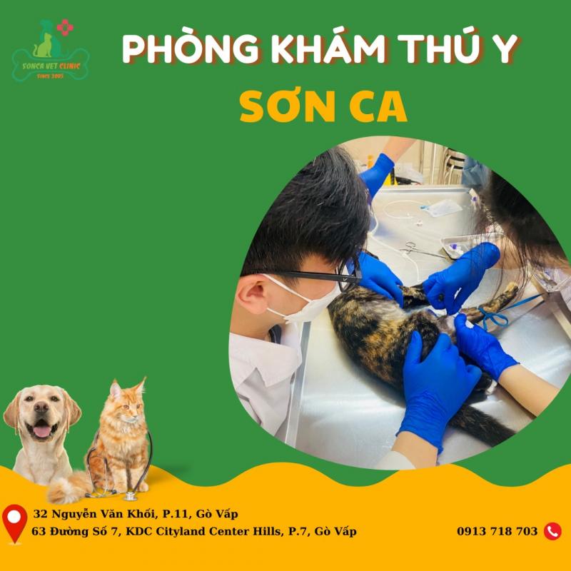 Phòng Khám Thú Y Sơn Ca