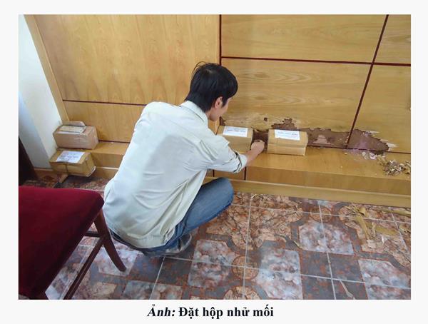 Phú Quý Clean