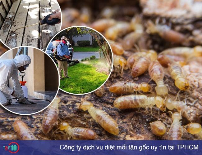 Phú Quý Clean