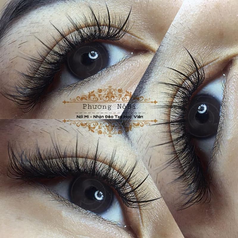 Phương Nôbi Eyelash