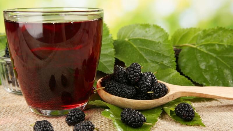Quả dâu tằm tốt cho mắt