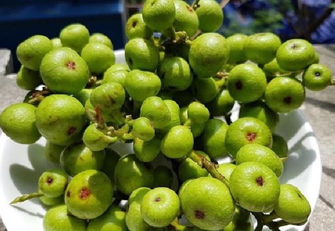 Quả sung giúp kiểm soát huyết áp rất tốt nhất là với bà bầu