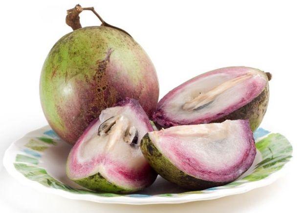 Quả vú sữa được dùng làm thức ăn bổ, tráng miệng