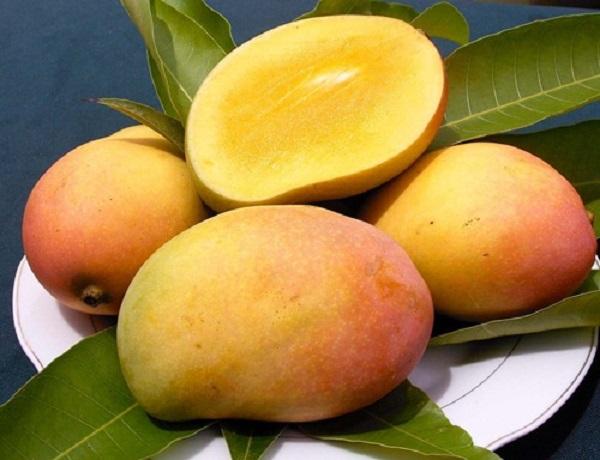 Quả Xoài cầu mong không thiếu thốn.