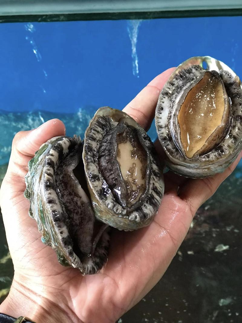 Quán Ăn Hương Việt