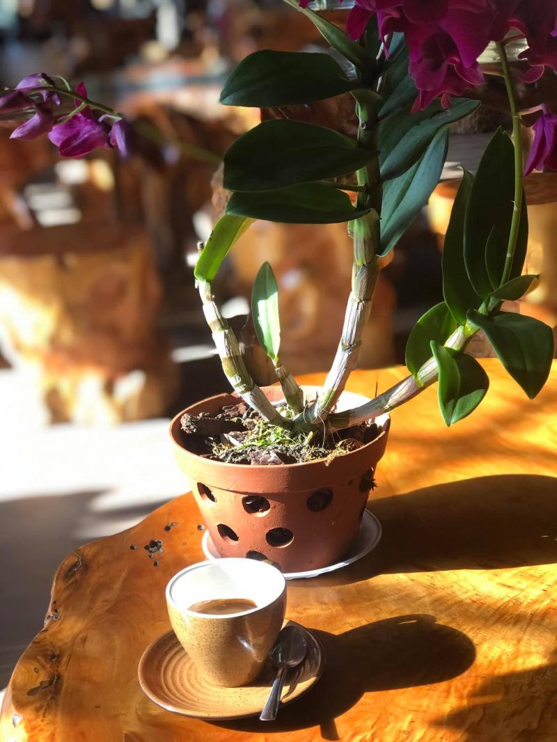Nhà Sàn Tây Bắc