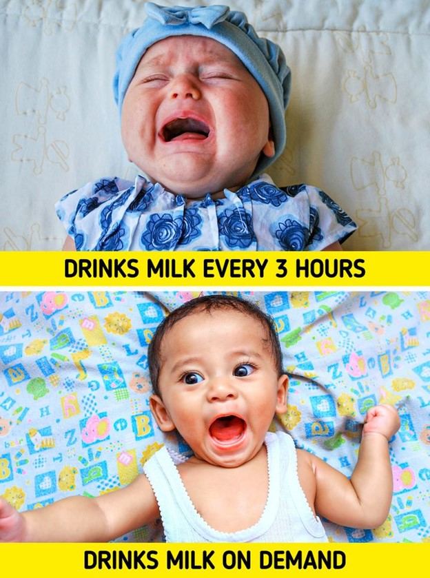 Trẻ sơ sinh nên được cho ăn 3 giờ một lần