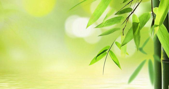 Vẻ đẹp quê hương tôi
